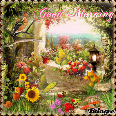image.gif