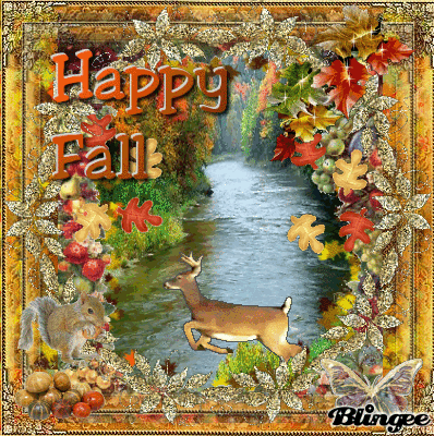 image.gif
