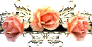 image.gif