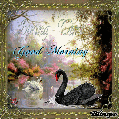 image.gif