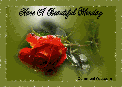 image.gif