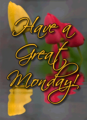 image.gif