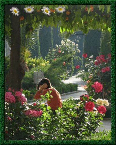 image.gif