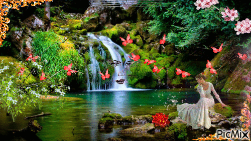 image.gif