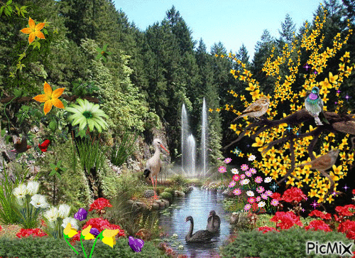 image.gif