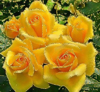 image.gif