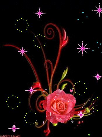 image.gif