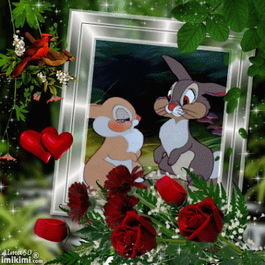 image.gif