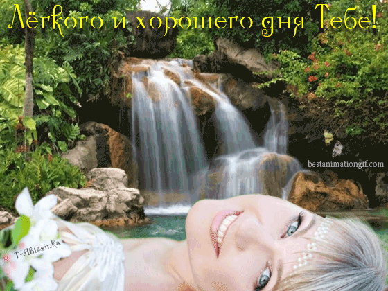 image.gif