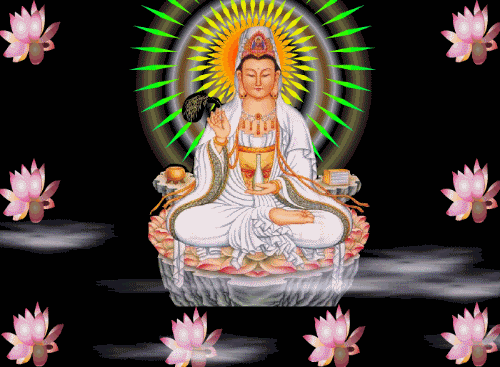 image.gif
