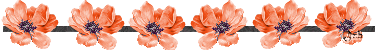 image.gif