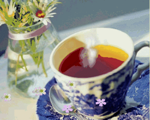 image.gif