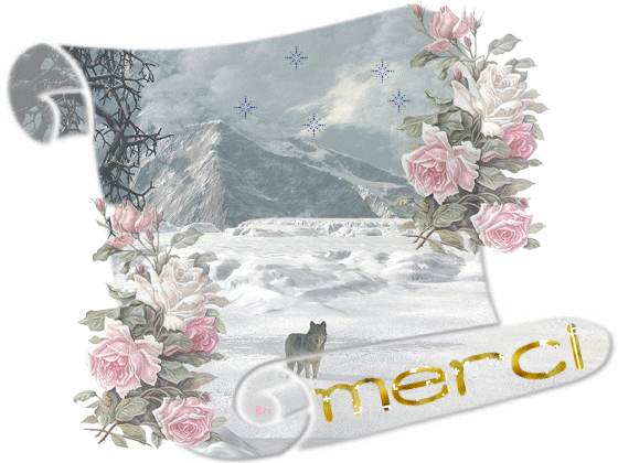 image.gif