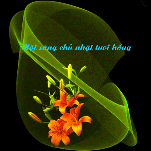 image.gif