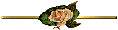 image.gif