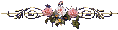 image.gif