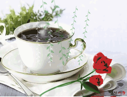 image.gif