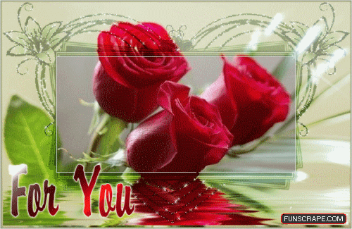 image.gif