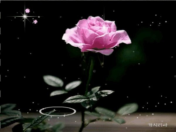 image.gif