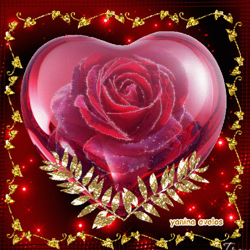 image.gif
