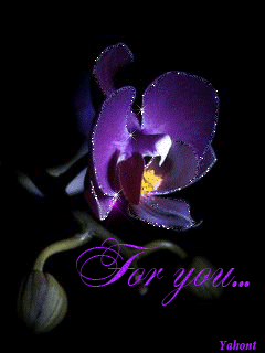 image.gif