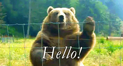 image.gif