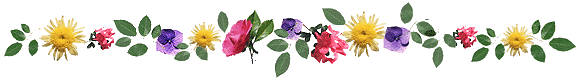 image.gif