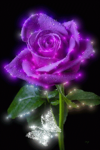 image.gif