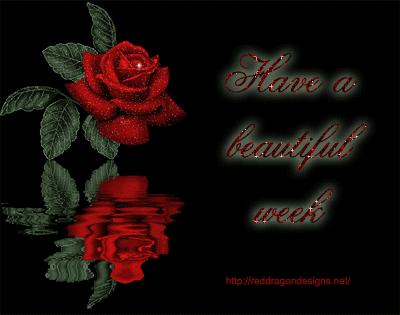 image.gif