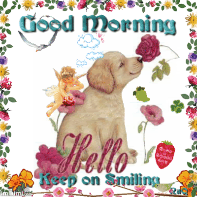 image.gif