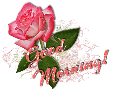 image.gif