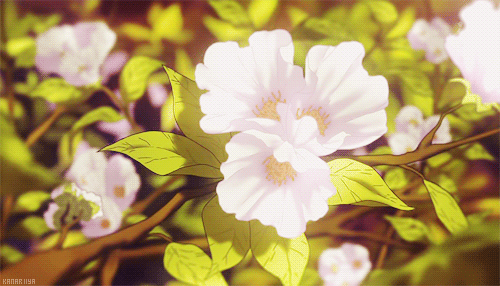 image.gif