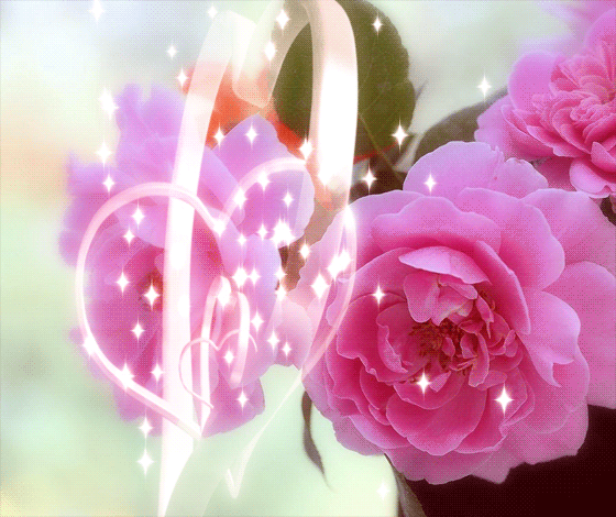 image.gif
