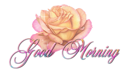 image.gif