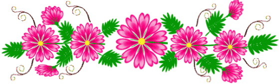 image.gif