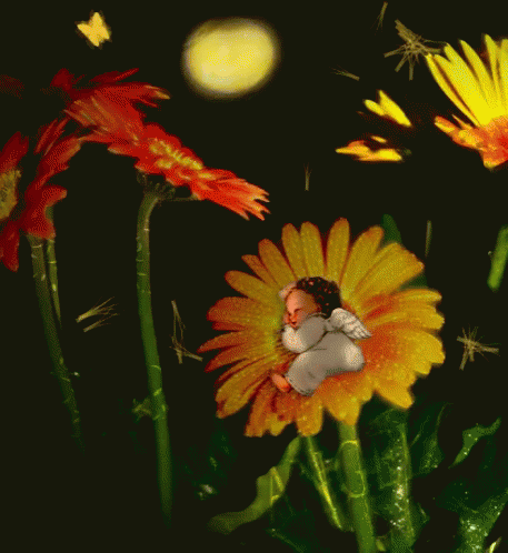 image.gif