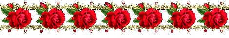 image.gif