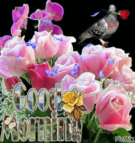 image.gif