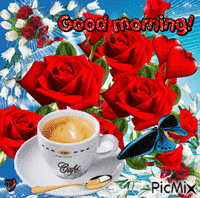 image.gif