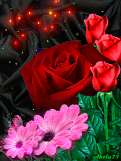 image.gif