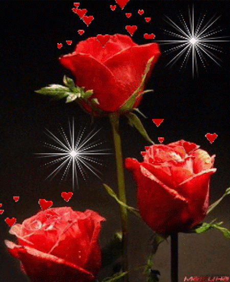 image.gif