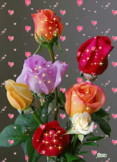 image.gif