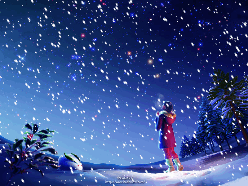 image.gif