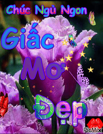 image.gif