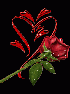 image.gif
