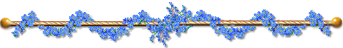 image.gif