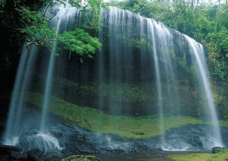 image.gif