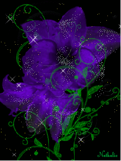 image.gif