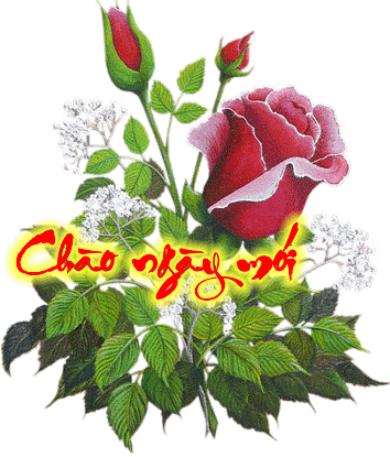image.gif