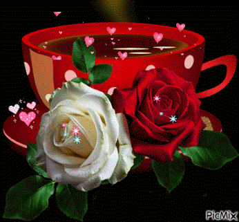 image.gif